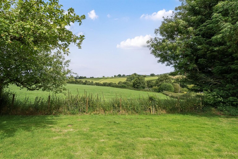 Images for Whiteball, Wellington