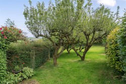 Images for Whiteball, Wellington