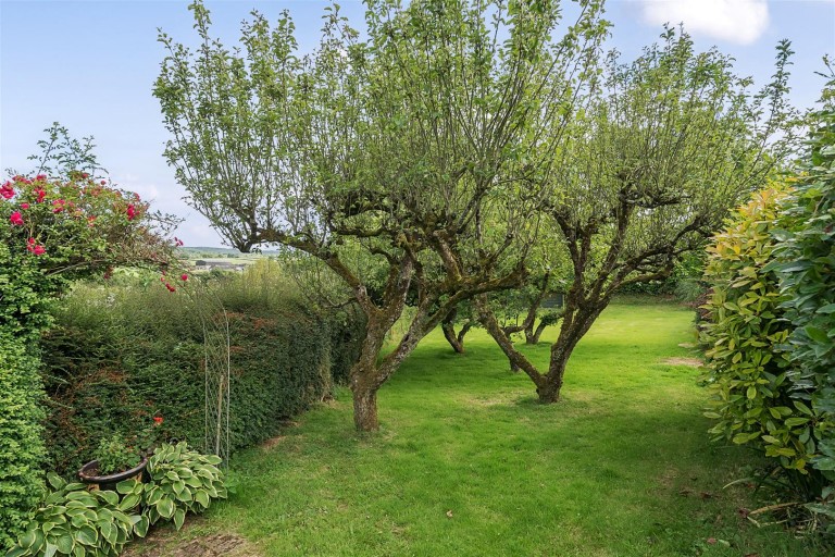 Images for Whiteball, Wellington