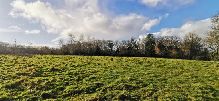 Images for Coxpark, East Cornwall