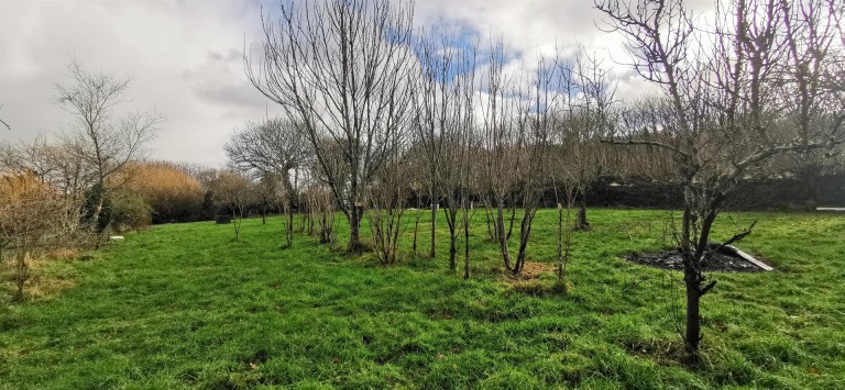 Images for Coxpark, East Cornwall