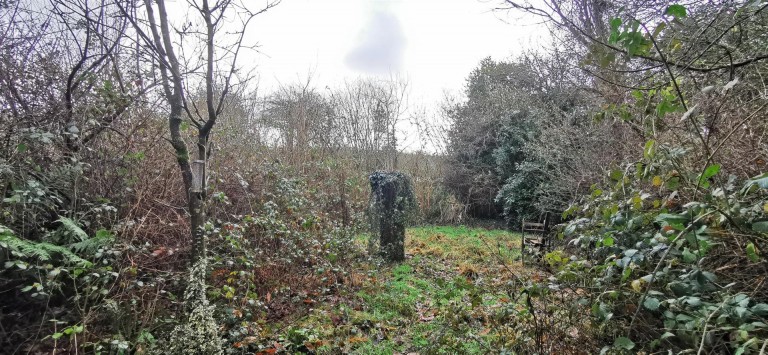 Images for Coxpark, East Cornwall