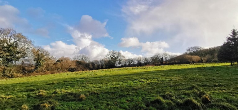 Images for Coxpark, East Cornwall