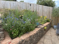 Images for West Street, Withycombe, Minehead