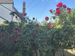 Images for West Street, Withycombe, Minehead