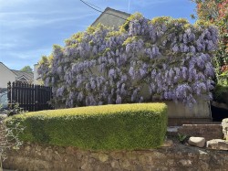 Images for West Street, Withycombe, Minehead