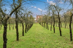 Images for Cheriton Fitzpaine, Crediton