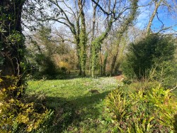 Images for Adams Green, Halstock, Dorset