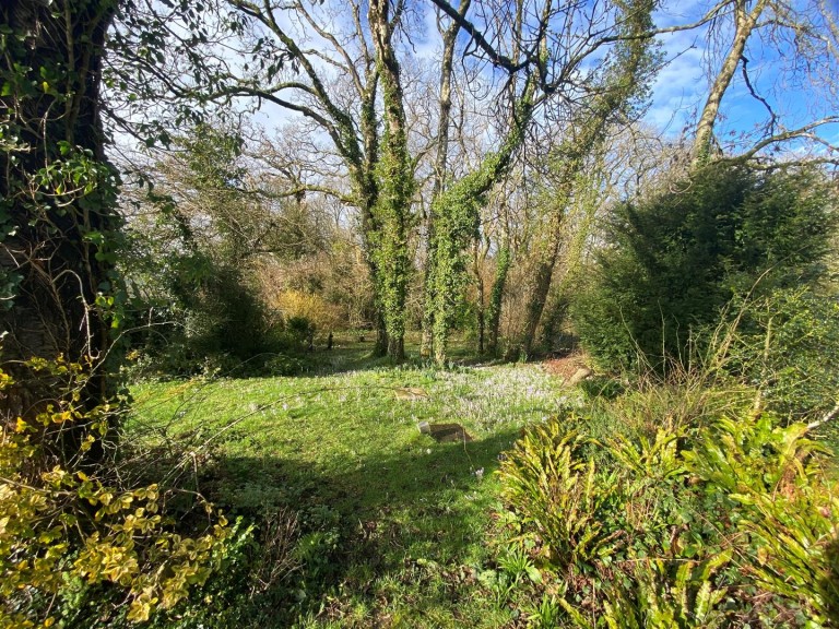 Images for Adams Green, Halstock, Dorset