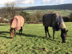 Images for Near Brayford