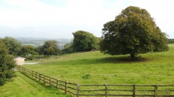 Images for Near Brayford