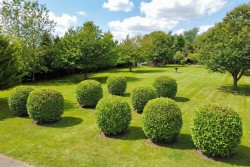 Images for The Grange, Carlton Scroop