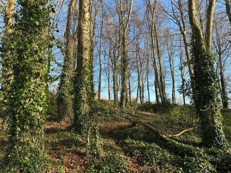 Images for Nether Compton, Sherborne