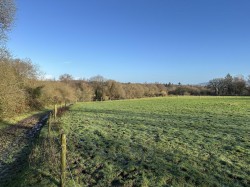 Images for Venn Ottery, Ottery St. Mary