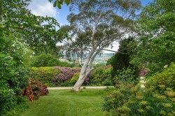 Images for Wyke, Axminster, Devon