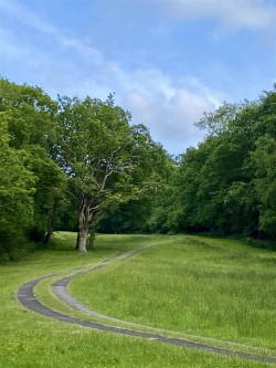 Images for Wyke, Axminster, Devon