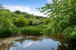 Images for Wyke, Axminster, Devon