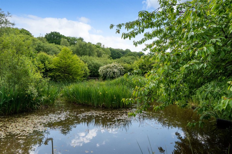 Images for Wyke, Axminster, Devon