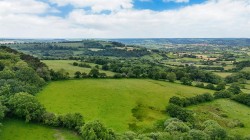 Images for Wyke, Axminster, Devon