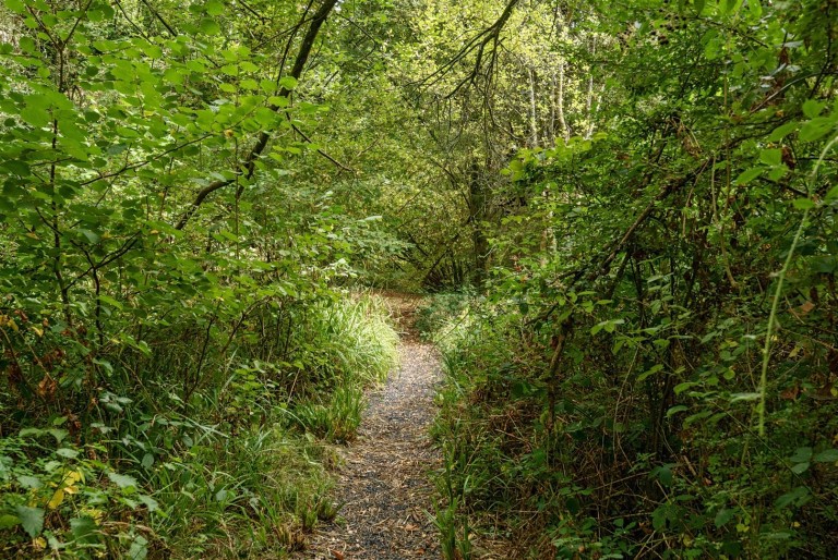 Images for Spring Grove, Milverton, Taunton