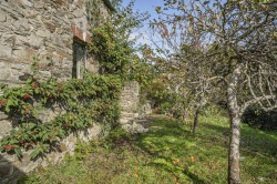 Images for Plymouth Road, Tavistock