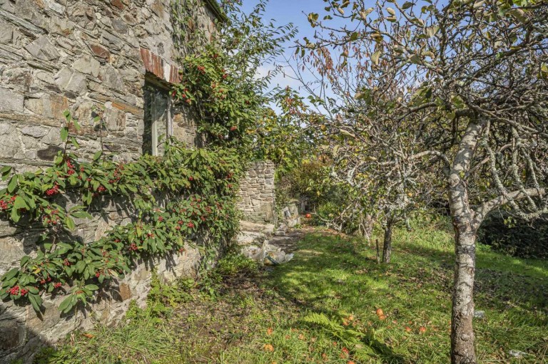 Images for Plymouth Road, Tavistock