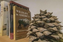 Images for High Street, Linton, Cambridge