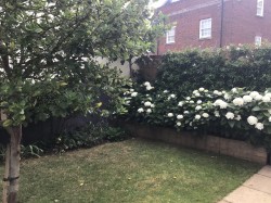 Images for Southfield Drive, Yeovil