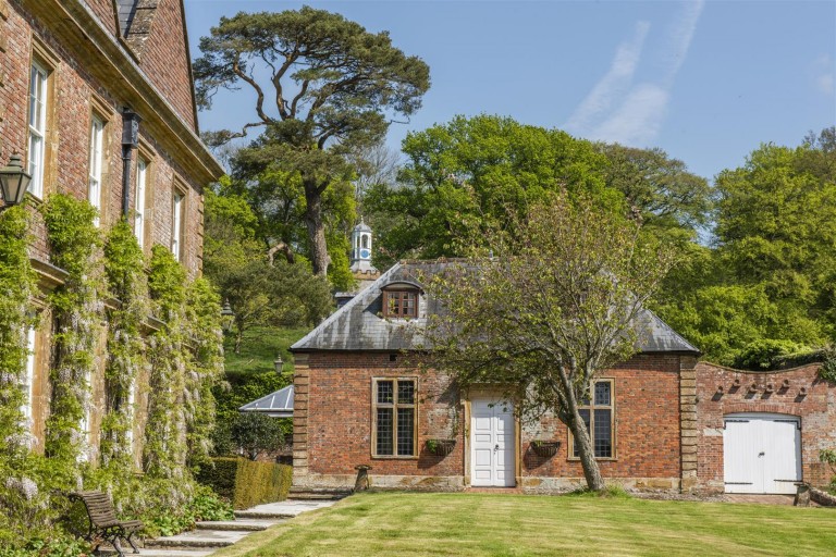 Images for Avishays, Chard