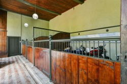 Images for Avishays, Chard