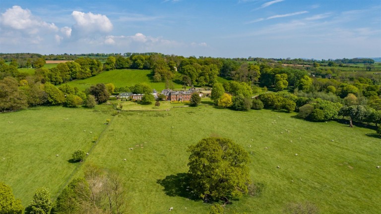 Images for Avishays, Chard