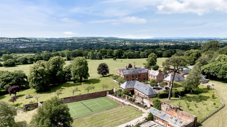 Images for Avishays, Chard