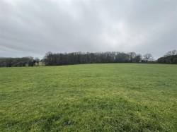 Images for New Sidmouth Road, Colyton