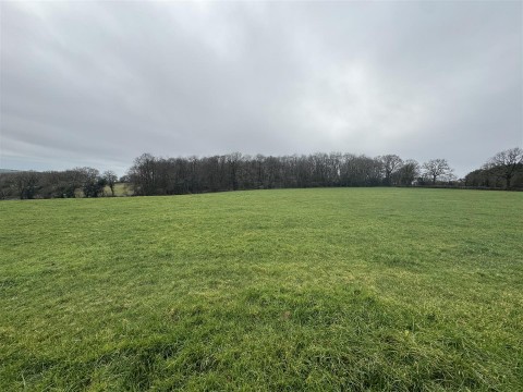 Click the photo for more details of New Sidmouth Road, Colyton