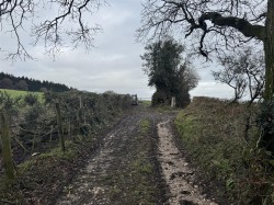 Images for New Sidmouth Road, Colyton