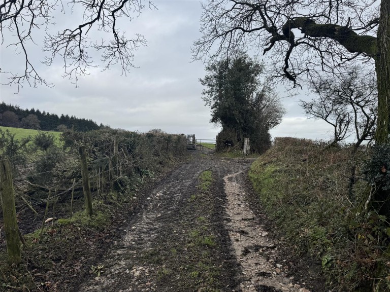 Images for New Sidmouth Road, Colyton