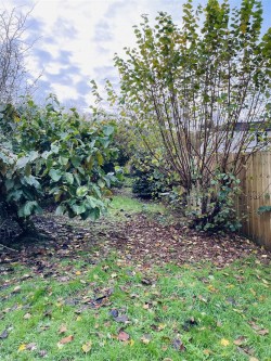 Images for Crockers Row, Gunnislake