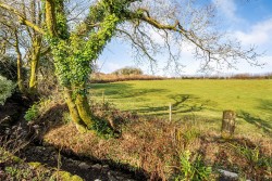 Images for Clearbrook, Yelverton