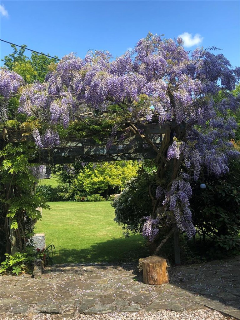 Images for Clearbrook, Yelverton