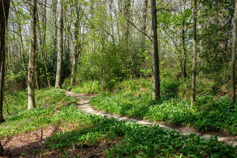 Images for Catherston Leweston, Charmouth, Bridport