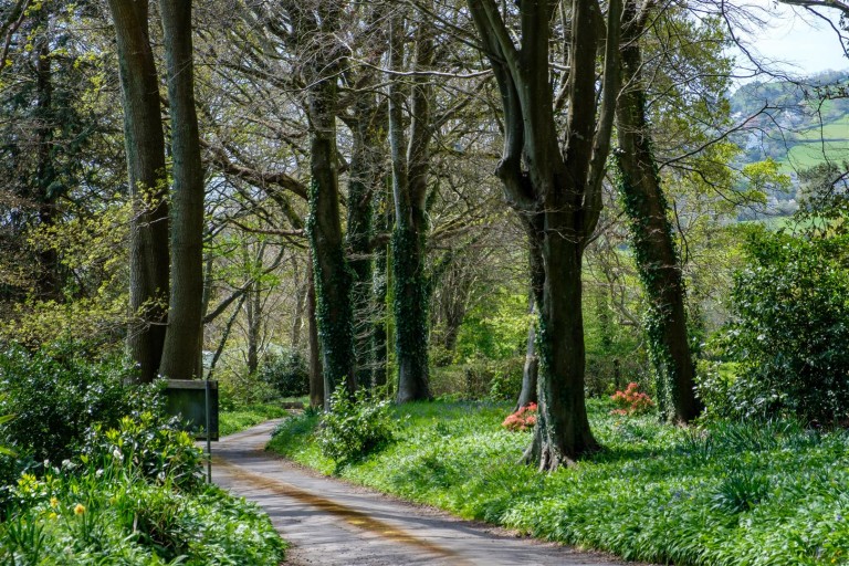 Images for Catherston Leweston, Charmouth, Bridport