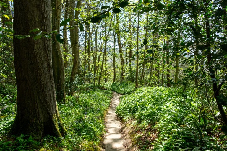 Images for Catherston Leweston, Charmouth, Bridport