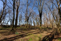 Images for Pen Selwood, Wincanton