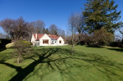 Images for Pen Selwood, Wincanton