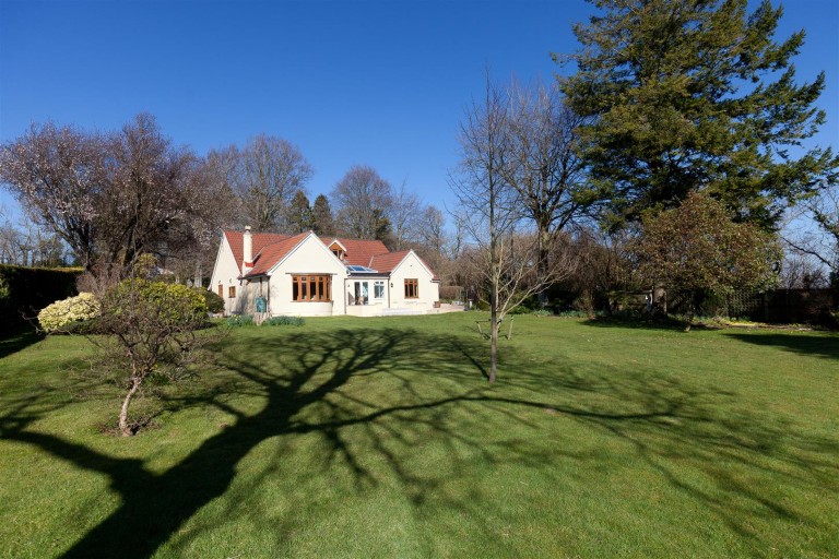 Images for Pen Selwood, Wincanton