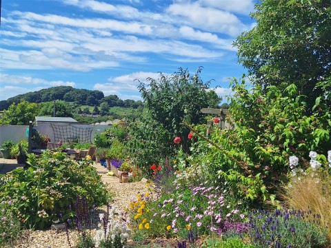 Click the photo for more details of Jessopp Avenue, Bridport