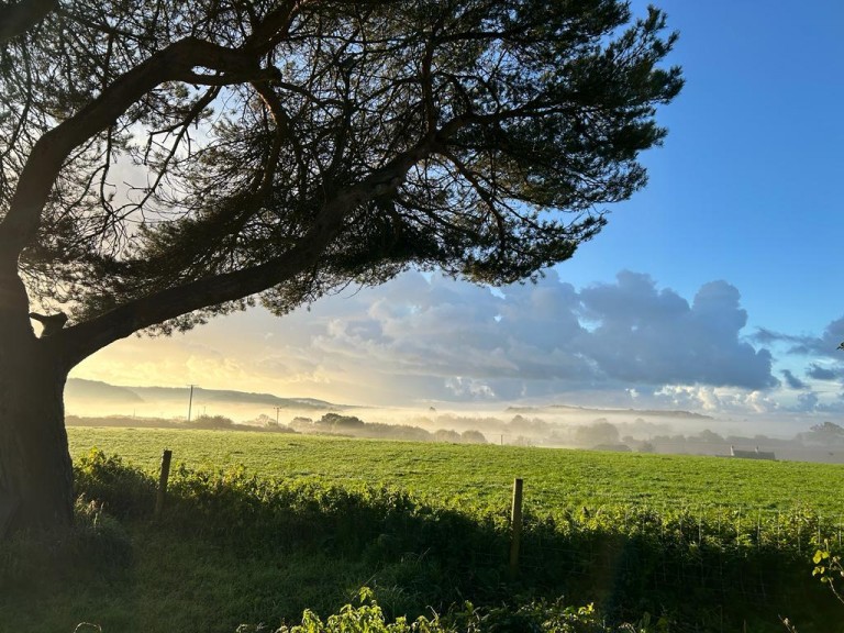 Images for Pymore Lane, Dottery, Bridport