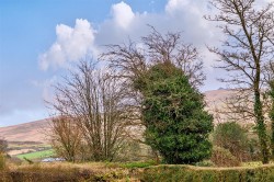 Images for Hawthorn Park, Lydford