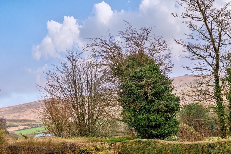 Images for Hawthorn Park, Lydford