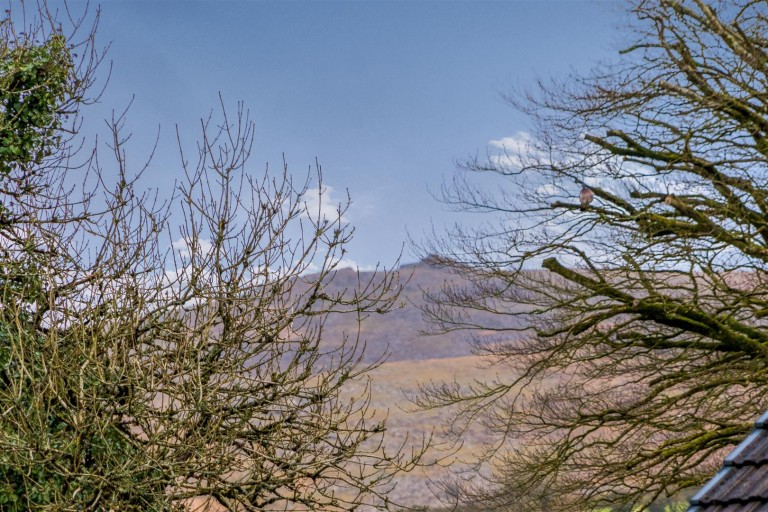 Images for Hawthorn Park, Lydford